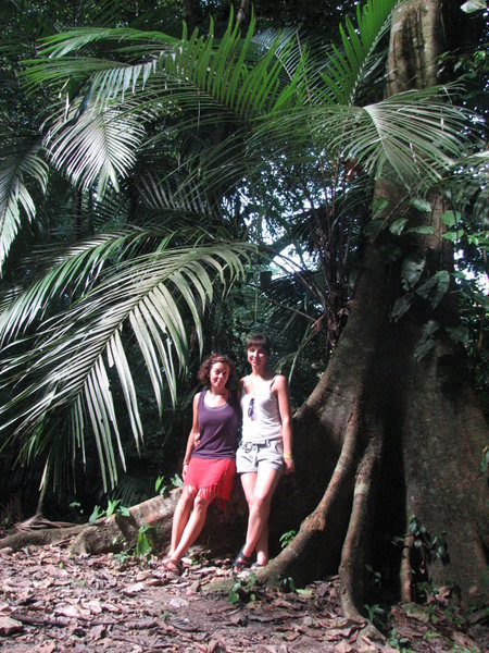 Us on palm tree
