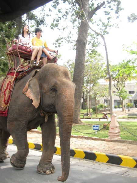 Not an unusual sight - an elephant in the streets on Phnom Penh