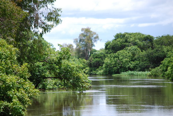 Billabong @ South alligator river | Photo