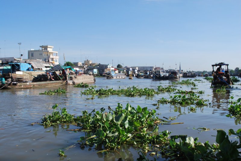 floating market of Cai Be