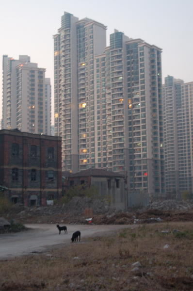 Developing Shanghai