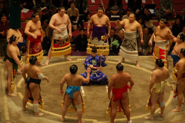 the Sumo Championship