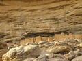 Tellem and Dogon cliff-dwellings