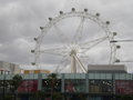 The Southern Star Observation Wheel