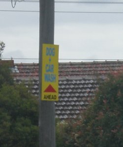 Sign on telephone pole