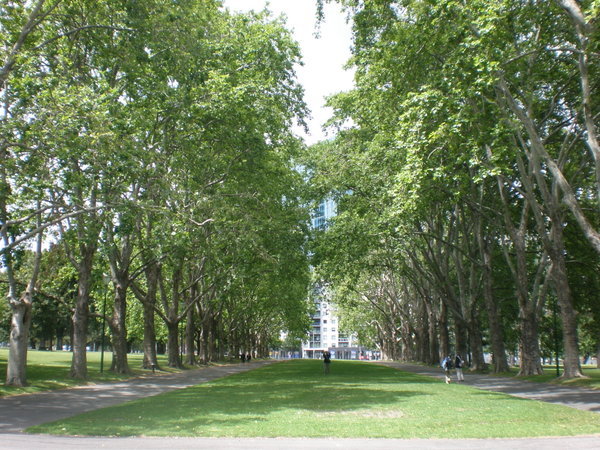 Carlton Gardens