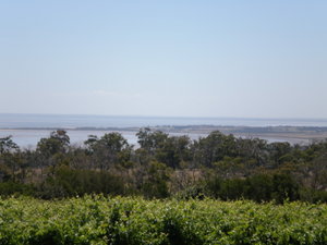 Phillip Island trip: Girdies Winery