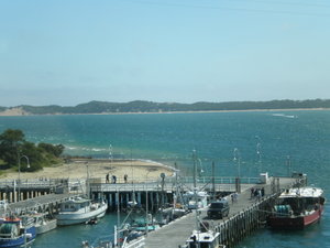 Phillip Island Tour