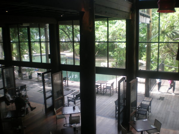 Cairns- lunch in the rainforest