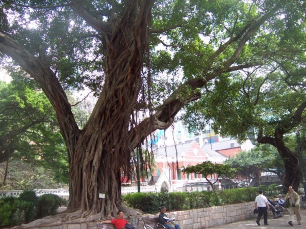 Park in Kowloon