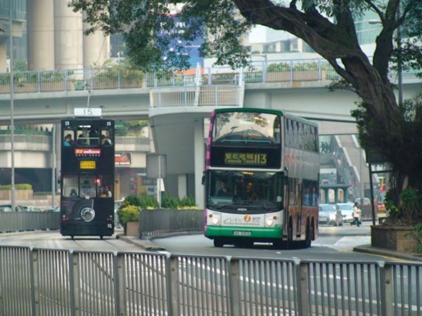 Bus vs Trams!