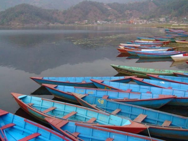 Boats in Pokhara 1