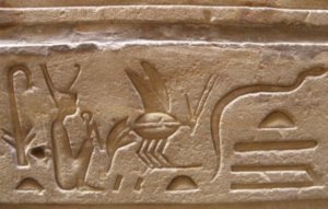 Detail of hieroglyphics 