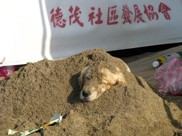 Buried Puppy, Baishawan Beach