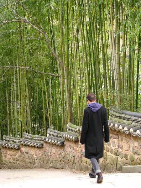 Bamboo Forest, Beomeosa Temple, Pusan