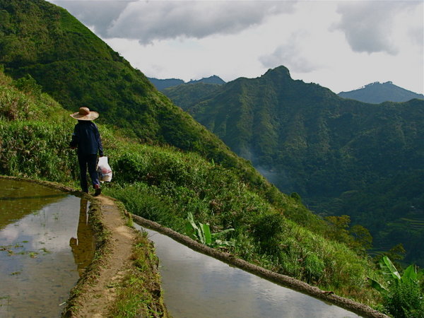 Scaling mountain-top rice terraces