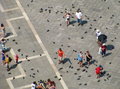 Tourists and Pigeons, Piazza San Marco