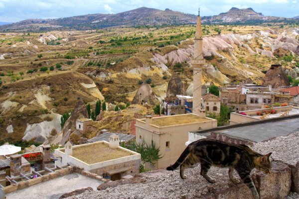 Kitty over Uchisar, Cappadocia