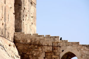 Aleppo Ancient Citadel