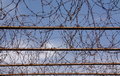 Barbed Wire, Amna Suraka, Sulaymaniyah