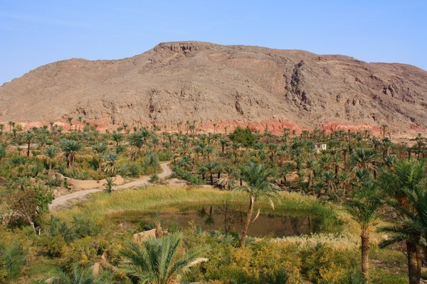 Garmeh Desert Oasis