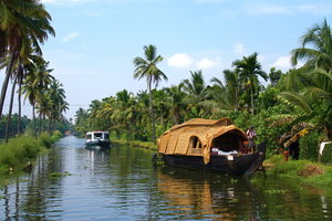 Houseboating, the quintessential Kerala experience (which I didn't do...)