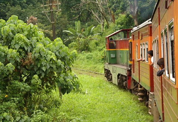 Train ride across the island