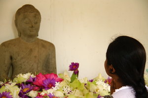 Praying before Buddha, Sri Maha Bodhi, Anuradhapura