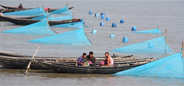 Shrimp Fisherman, Padma (Ganges) River