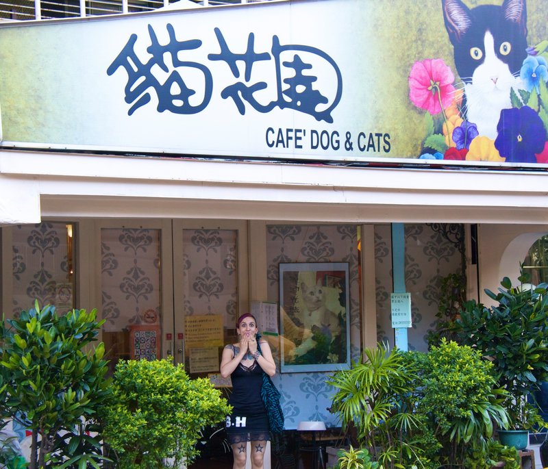 Cafe Dog and Cats, Taipei City, Taiwan