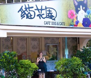 Cafe Dog and Cats, Taipei City, Taiwan