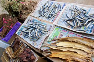Dried Seafood For Sale