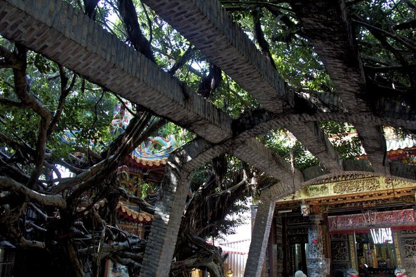 Tongliang Banyan Tree Temple, Hsiyu Island
