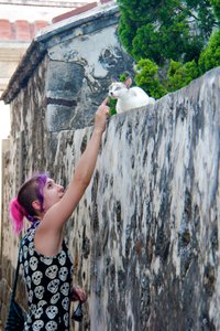 Leanne finds a kitty at Erkan Village