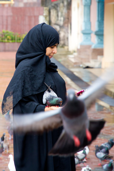 Woman in Burka gets surrounded by pigeons
