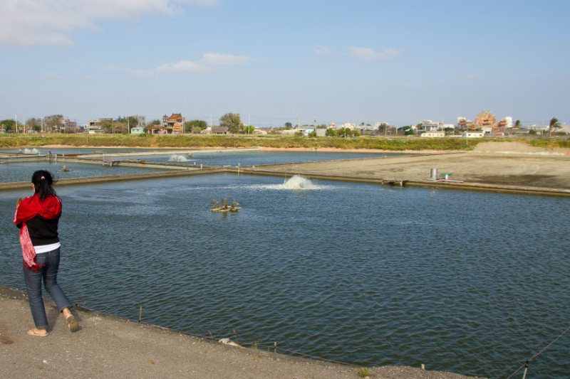 Canals and Fish Farms of Chiayi County