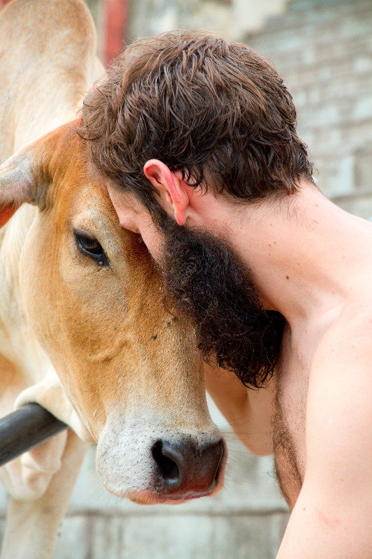 Matt bonding with a cow