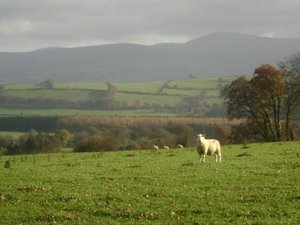 The Irish countryside