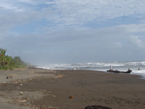 Beach in Tortuguero 2