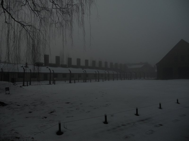 Auschwitz Bunkers