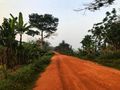 Dirt road to Tiwai Island 