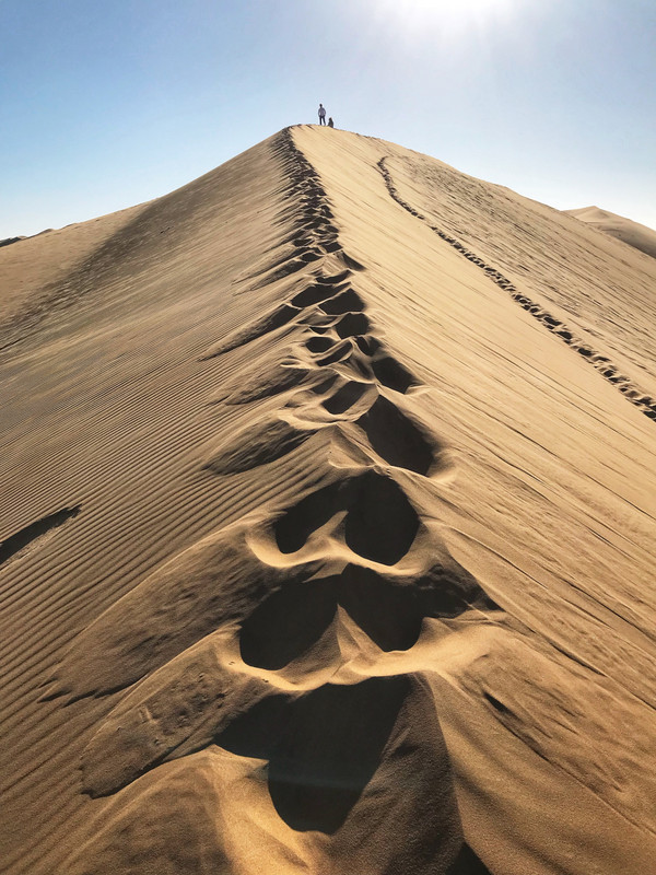 Dune7 in the Namibe Desert 
