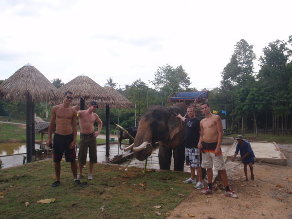 Samui Elephant Shower