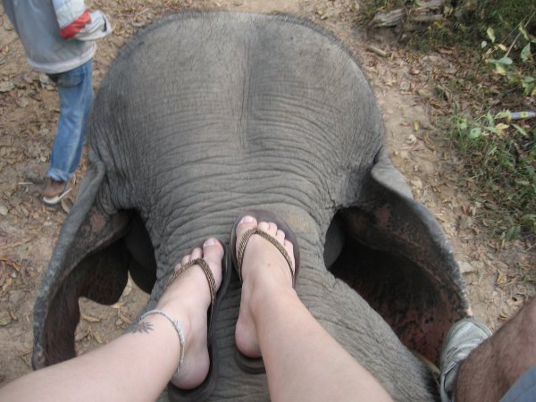 Chang Mai Elephant Trek