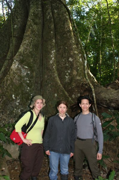 3 of us and a tree