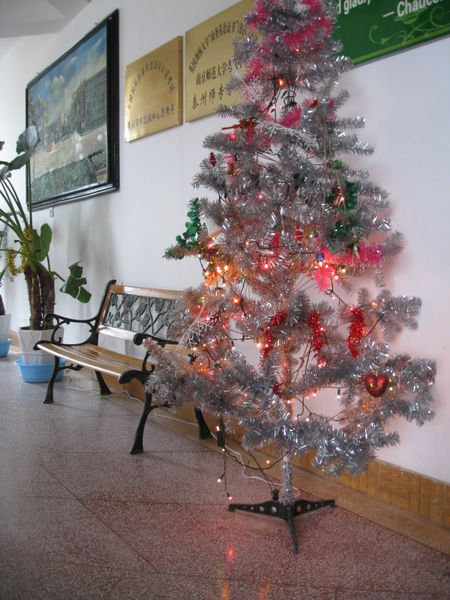 Foreign Language Dept. Christmas Tree