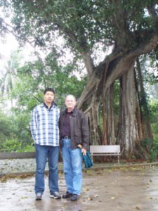 Ancient Banyan Tree