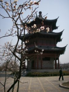 The Wenchang Pavilion in Taizhou from a distance.
