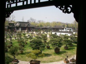 Arboritum of Yangzhou,  Photo #1