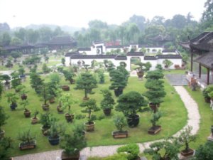 Arboritum of Yangzhou,  Photo #7